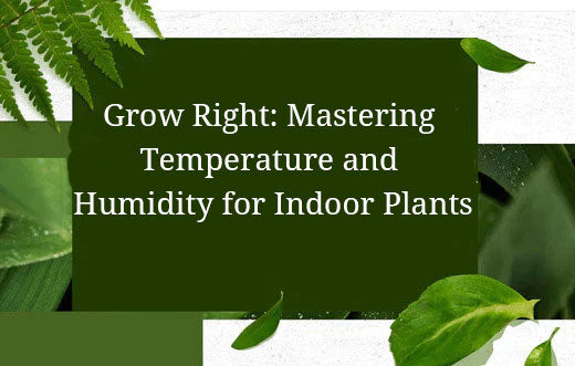 Grow Right: Mastering TemperGrow Right: Mastering Temperature &amp; Humidity for Indoor Plantsature and Humidity for Indoor Plants