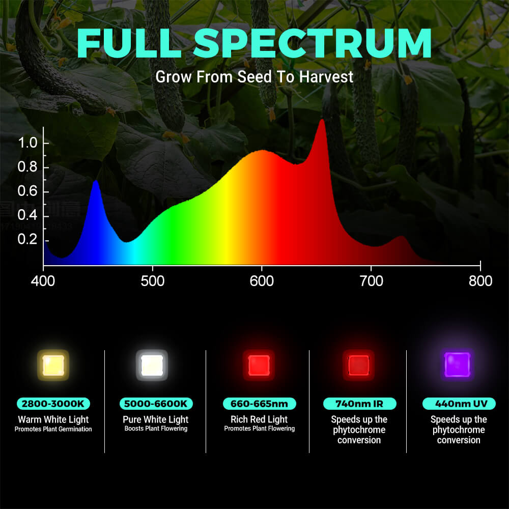 PHLIZON FD7600 800W Full-Spectrum+UV/IR Daisy Chain Dimmable Cost-effective High-yield Commercial LED Grow Light for 6×6