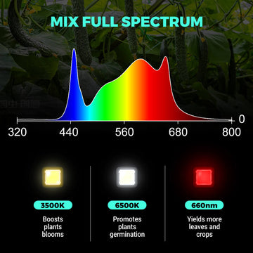 LED Grow Lights, full-spectrum grow light | Phlizon Official Store ...